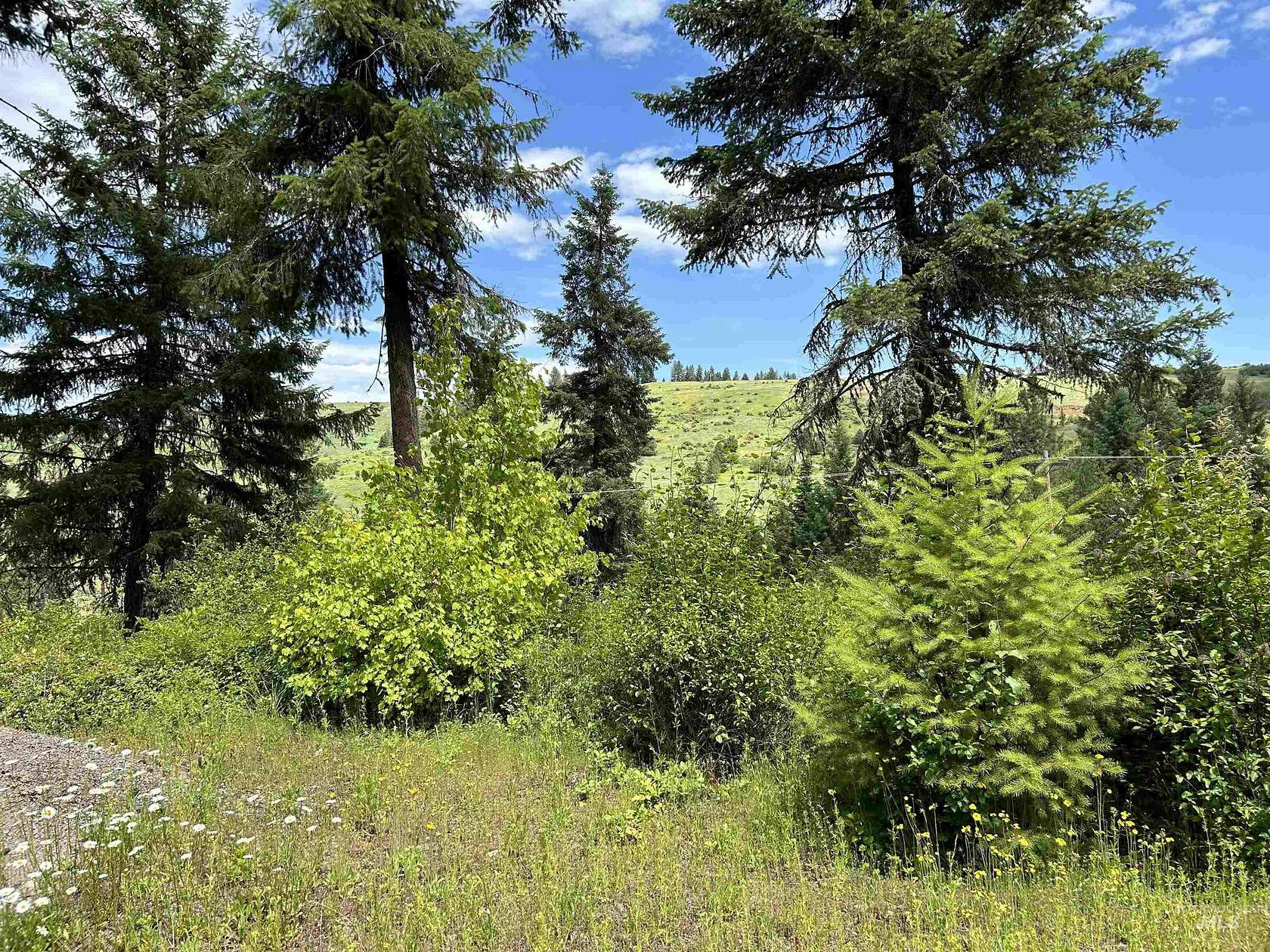 3.6 Acres of Land for Sale in Kooskia, Idaho