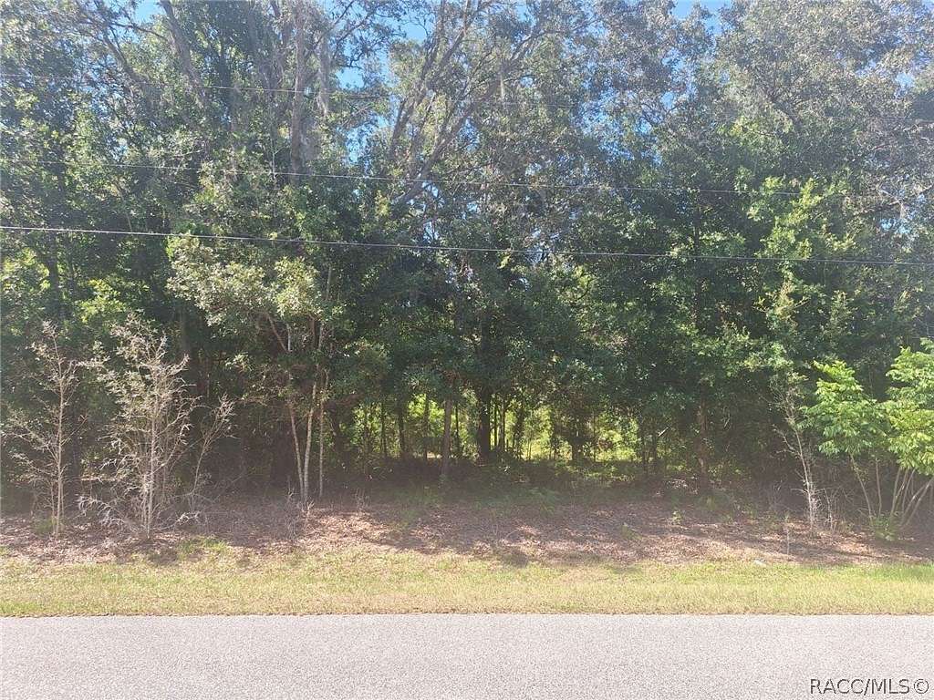 0.99 Acres of Residential Land for Sale in Hernando, Florida