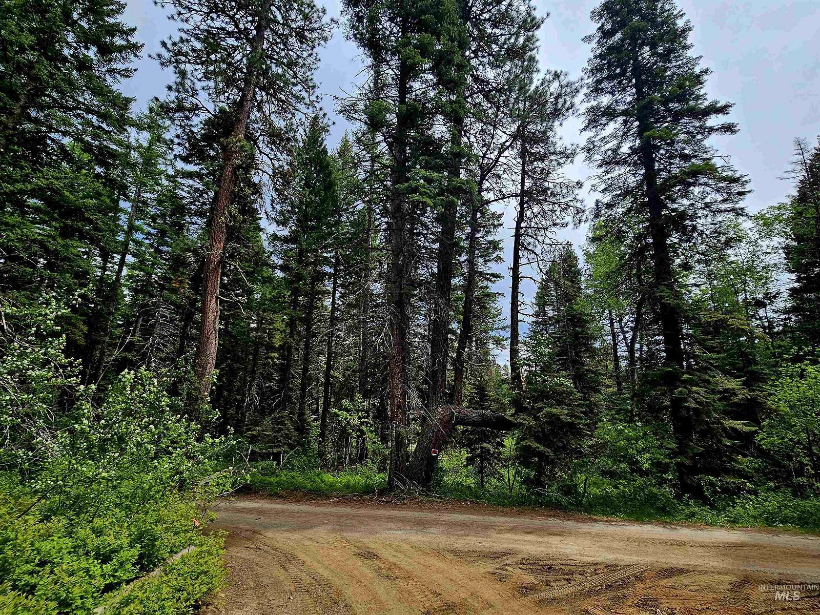 1.1 Acres of Land for Sale in Donnelly, Idaho