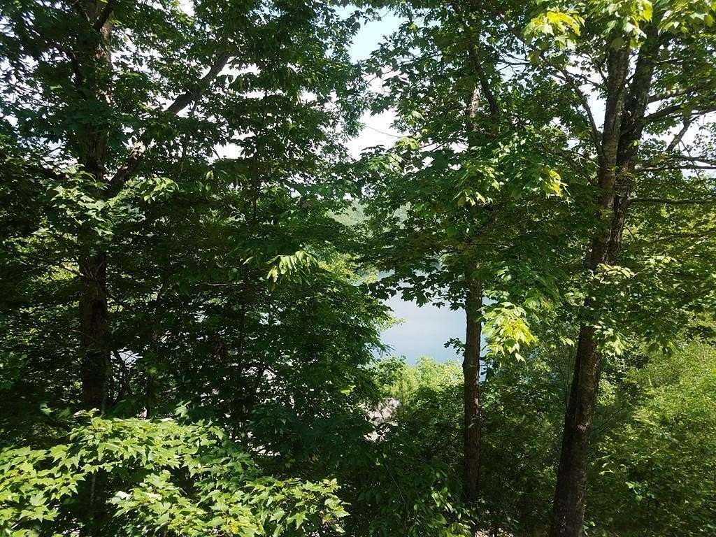 1.3 Acres of Residential Land for Sale in Murphy, North Carolina
