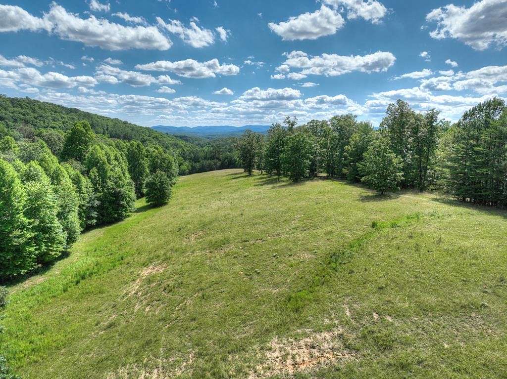 40.59 Acres of Agricultural Land for Sale in Mineral Bluff, Georgia