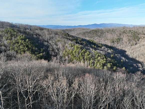 3.39 Acres of Residential Land for Sale in Ellijay, Georgia