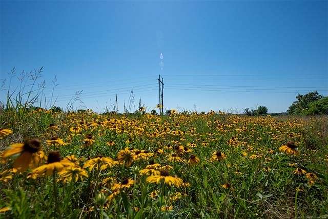 40 Acres of Agricultural Land for Sale in Webbers Falls, Oklahoma