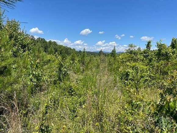 10.42 Acres of Land for Sale in Rutherfordton, North Carolina