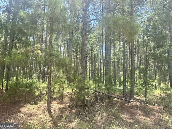 76.18 Acres of Agricultural Land for Sale in Metter, Georgia