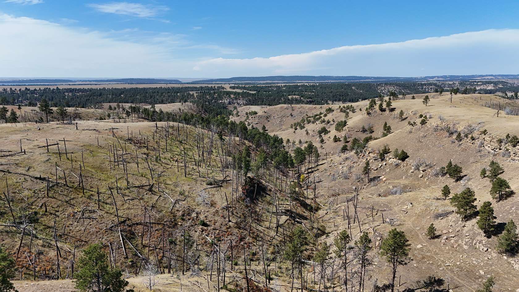 494 Acres of Recreational Land for Sale in Moorcroft, Wyoming