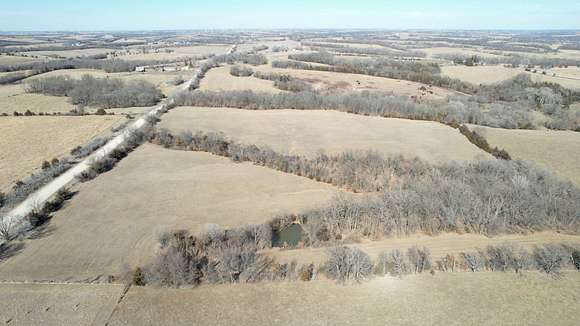 31.9 Acres of Agricultural Land for Sale in Bedford, Iowa