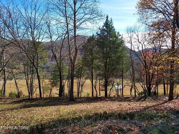 40 Acres of Agricultural Land for Sale in Thorn Hill, Tennessee