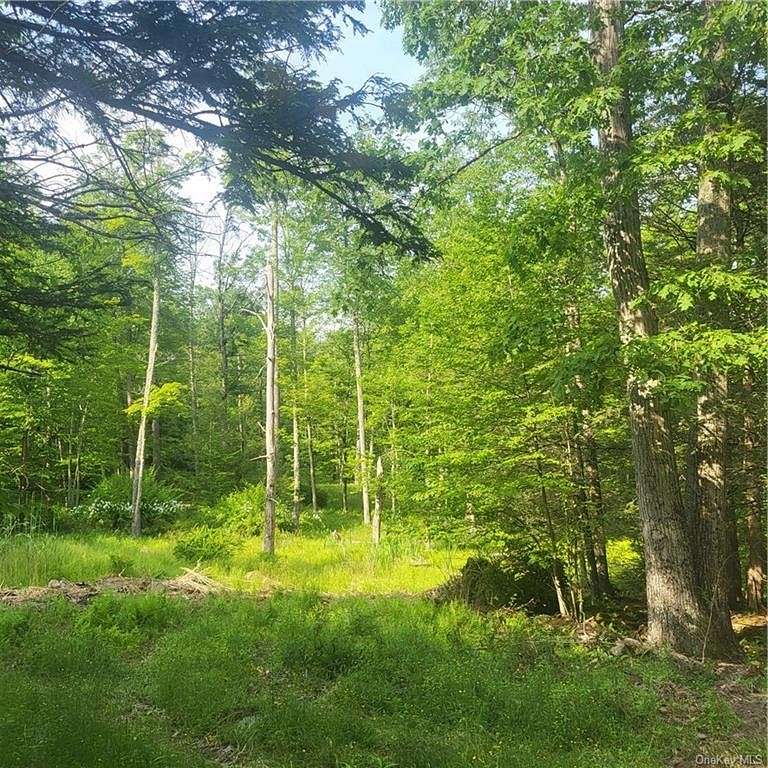 8.4 Acres of Residential Land for Sale in Mamakating Town, New York