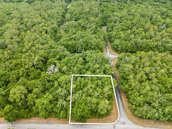 0.35 Acres of Land for Sale in Citrus Springs, Florida - LandSearch