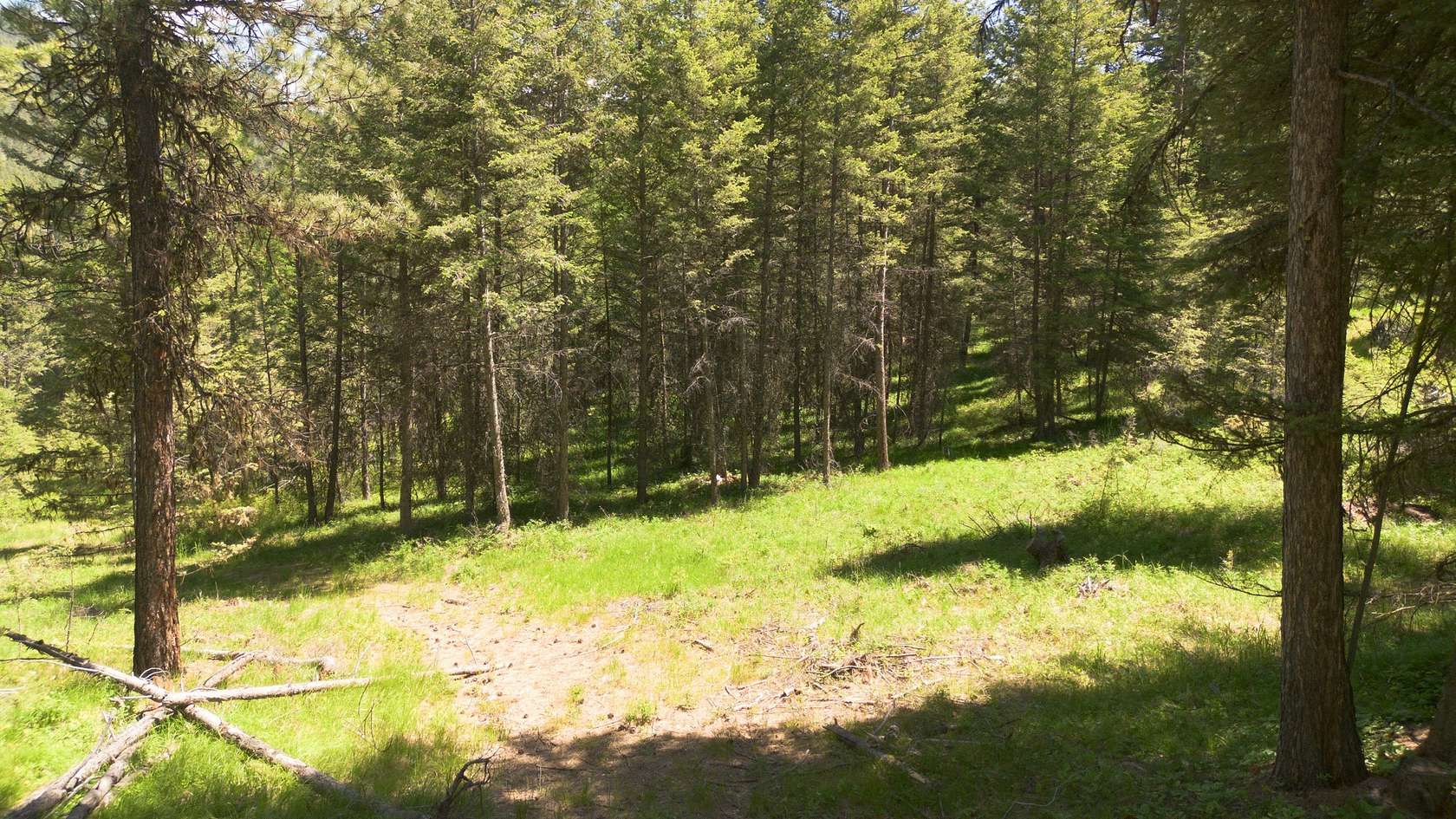 24.35 Acres of Recreational Land for Sale in Frenchtown, Montana