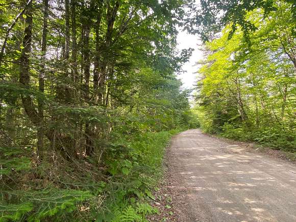 29.32 Acres of Recreational Land for Sale in Millsfield Township, New Hampshire