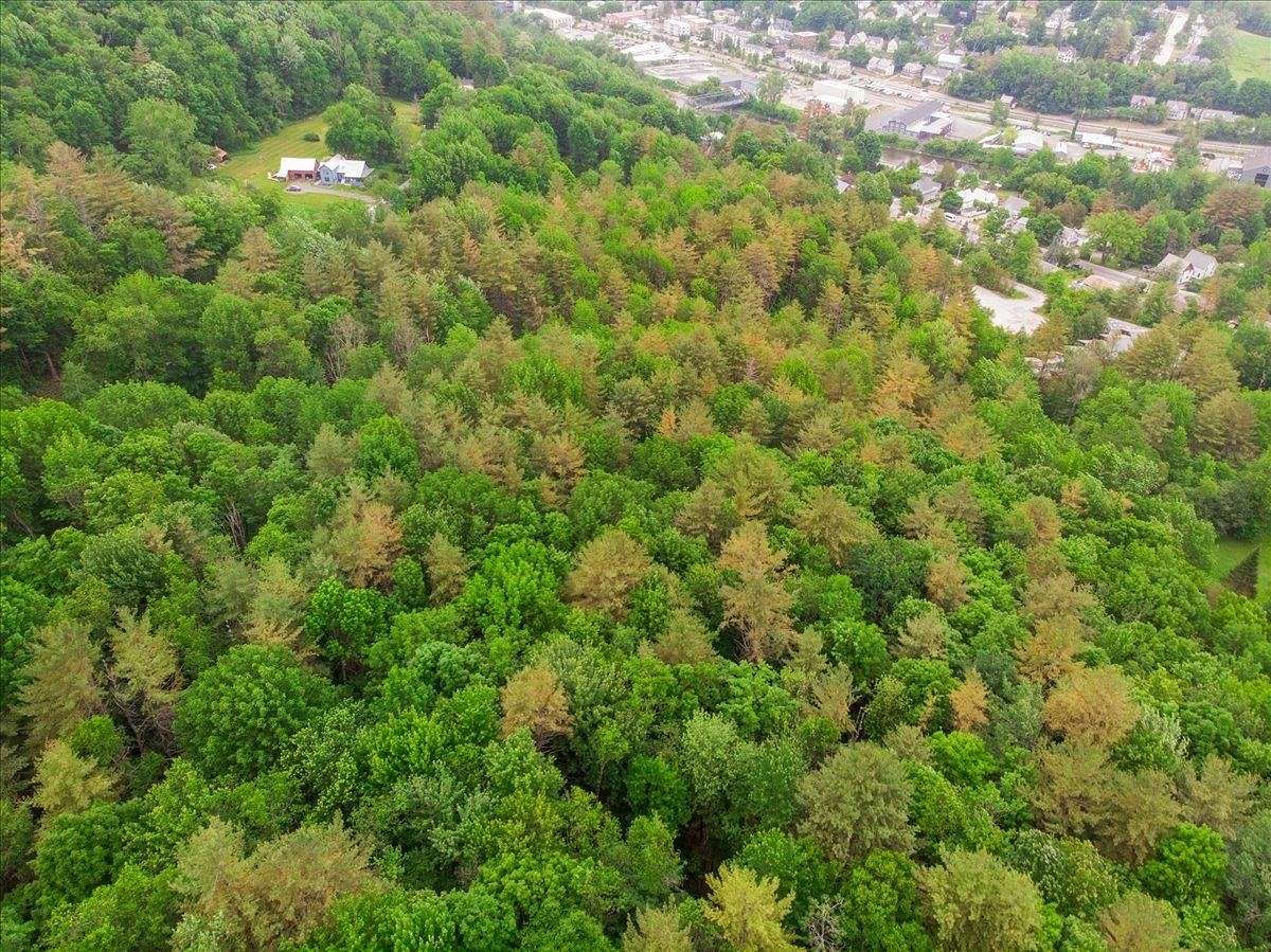 3 Acres of Residential Land for Sale in Montpelier, Vermont