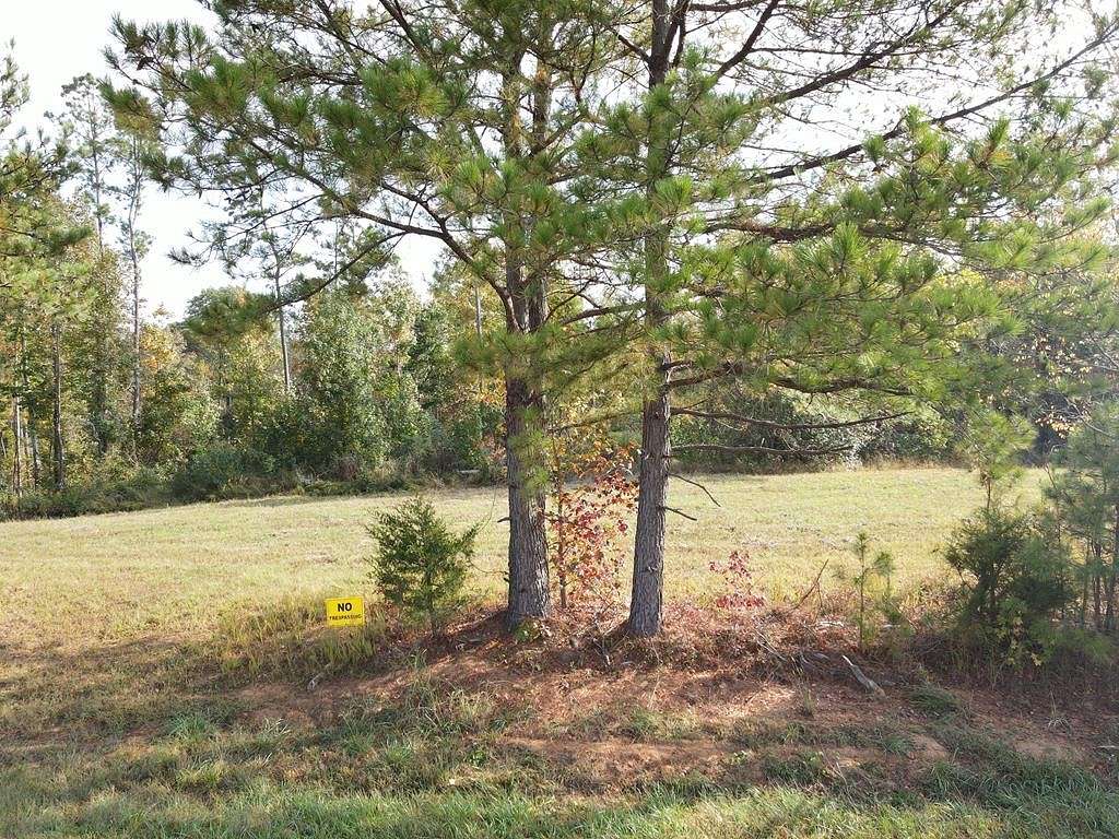 10 Acres of Land for Sale in Cedar Grove, Tennessee