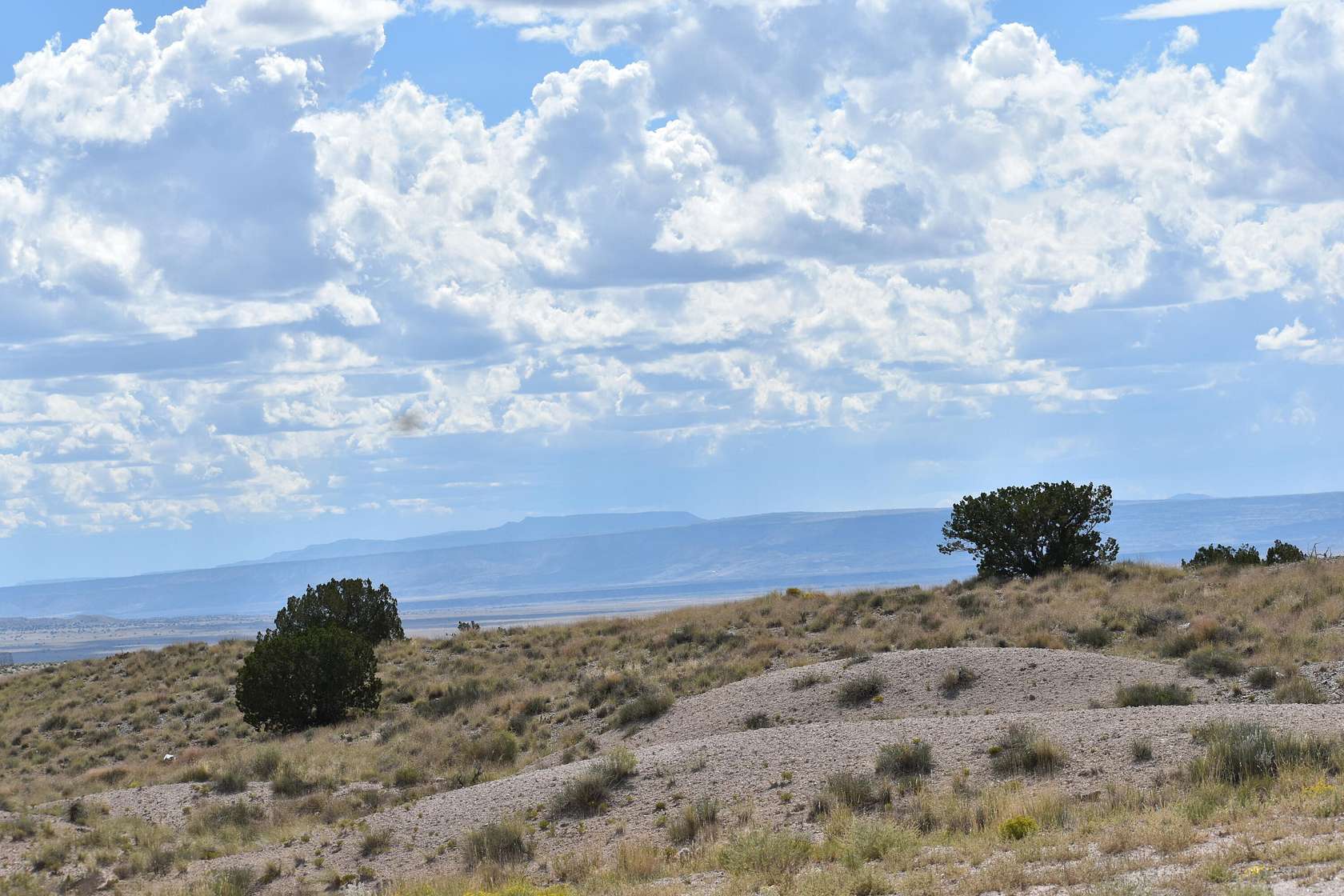 5 Acres of Land for Sale in Albuquerque, New Mexico