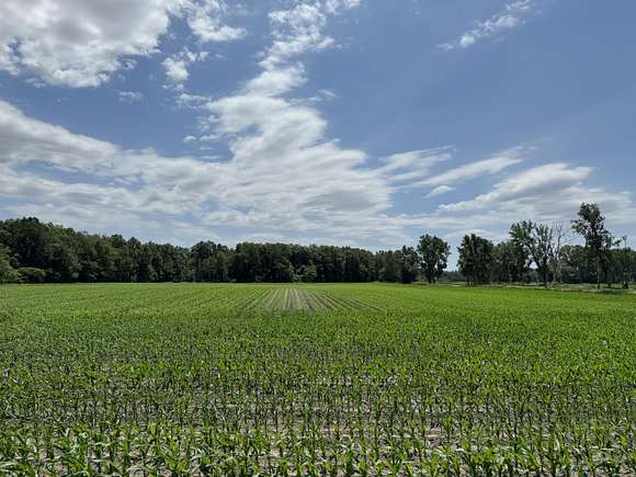 51.378 Acres of Recreational Land & Farm for Sale in Wheatfield, Indiana
