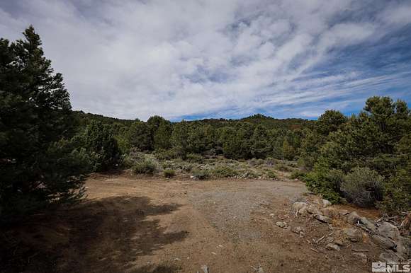 10.06 Acres of Land for Sale in Reno, Nevada