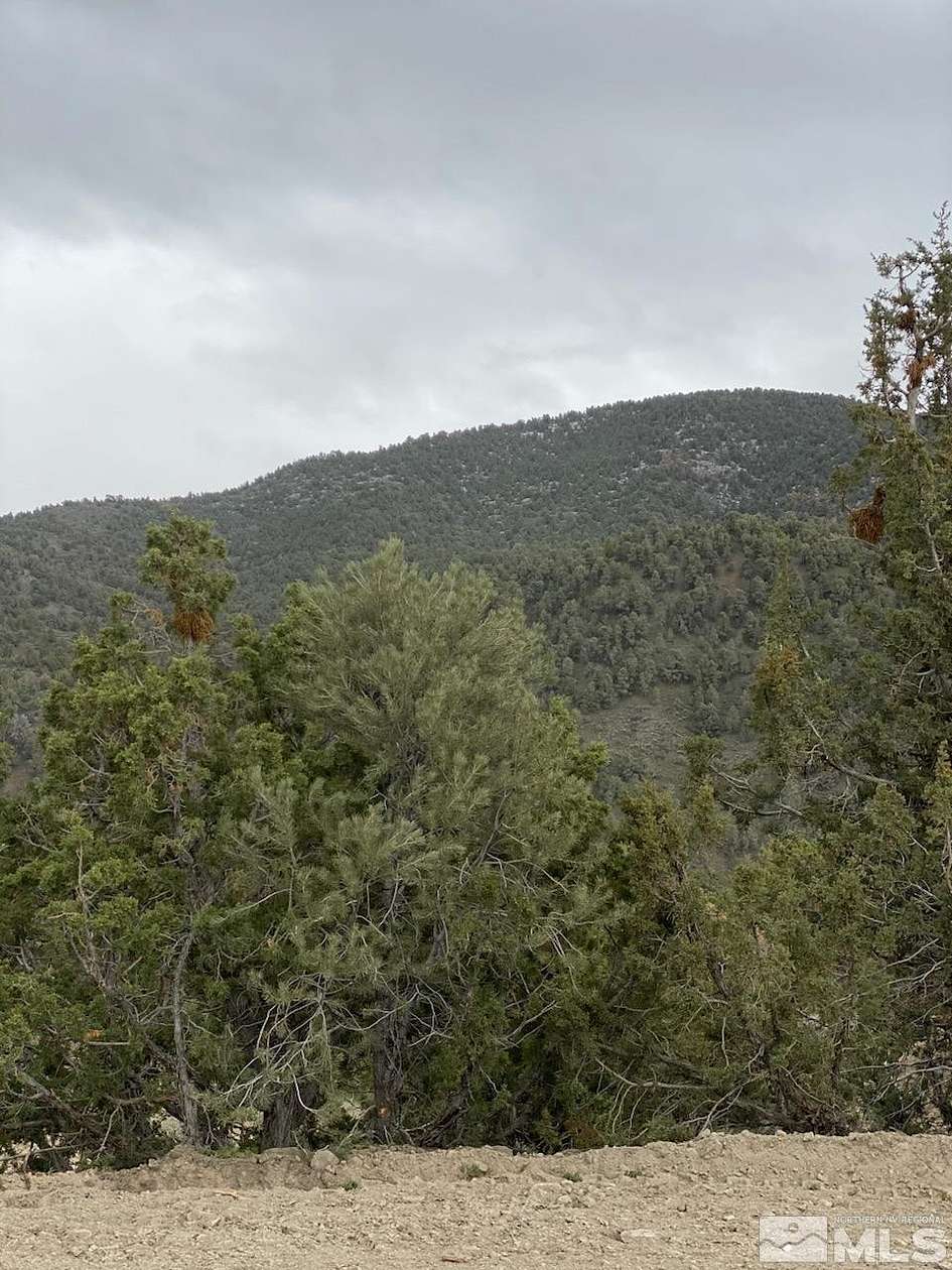 40 Acres of Recreational Land for Sale in Battle Mountain, Nevada