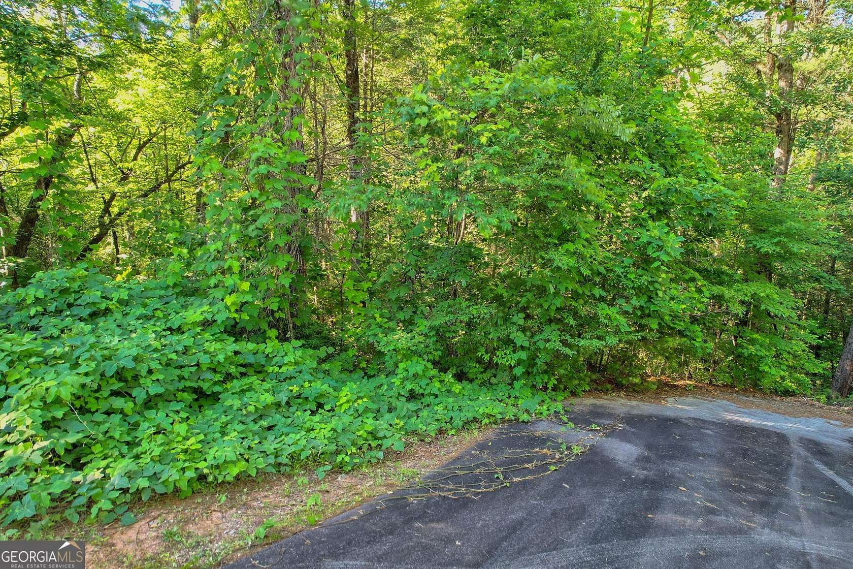 1 Acre of Residential Land for Sale in Clayton, Georgia