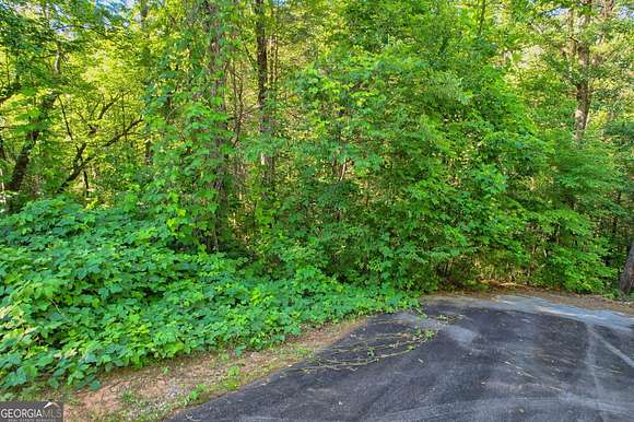 1 Acre of Residential Land for Sale in Clayton, Georgia