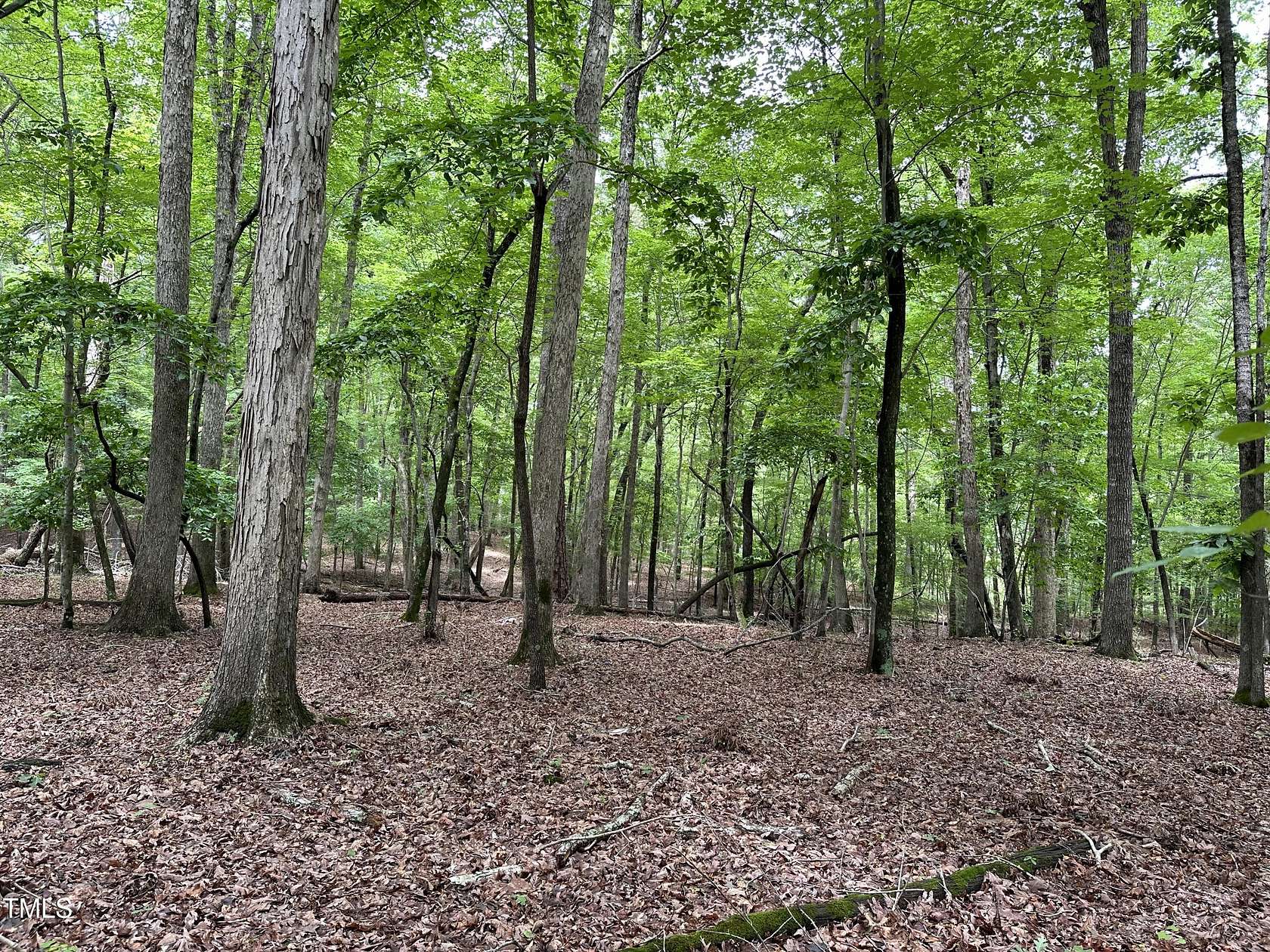 7.28 Acres of Residential Land for Sale in Chapel Hill, North Carolina