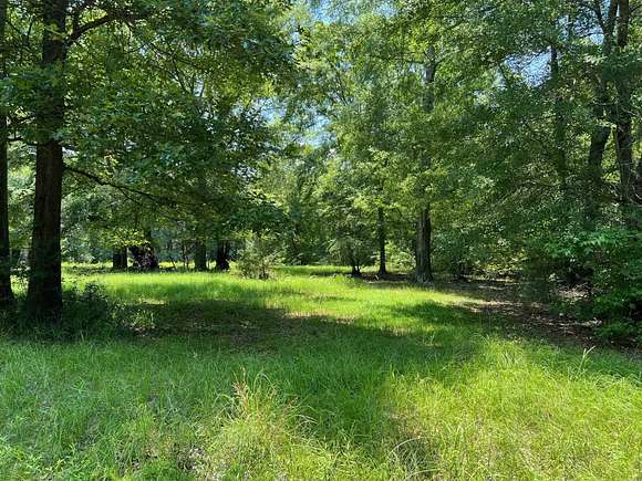 0.93 Acres of Residential Land for Sale in Shelbyville, Texas