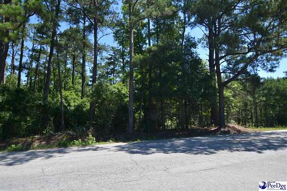 11 Acres of Land for Sale in Florence, South Carolina