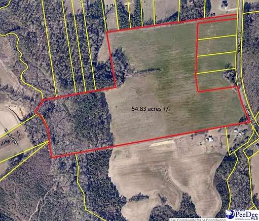 54.83 Acres of Agricultural Land for Sale in Effingham, South Carolina