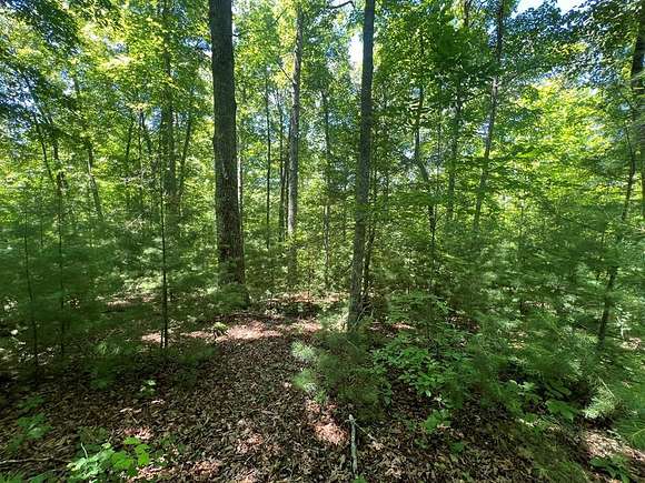 1.4 Acres of Residential Land for Sale in Murphy, North Carolina