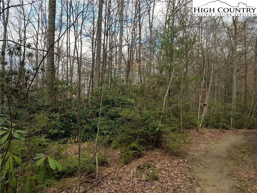 11.74 Acres of Land for Sale in Beech Mountain, North Carolina