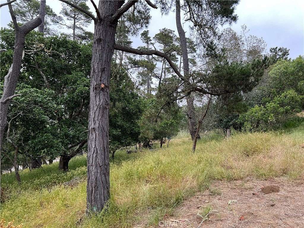 0.12 Acres of Land for Sale in Cambria, California