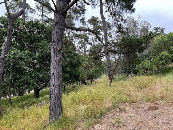 0.12 Acres of Land for Sale in Cambria, California