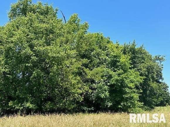 40 Acres of Recreational Land & Farm for Sale in McLeansboro, Illinois