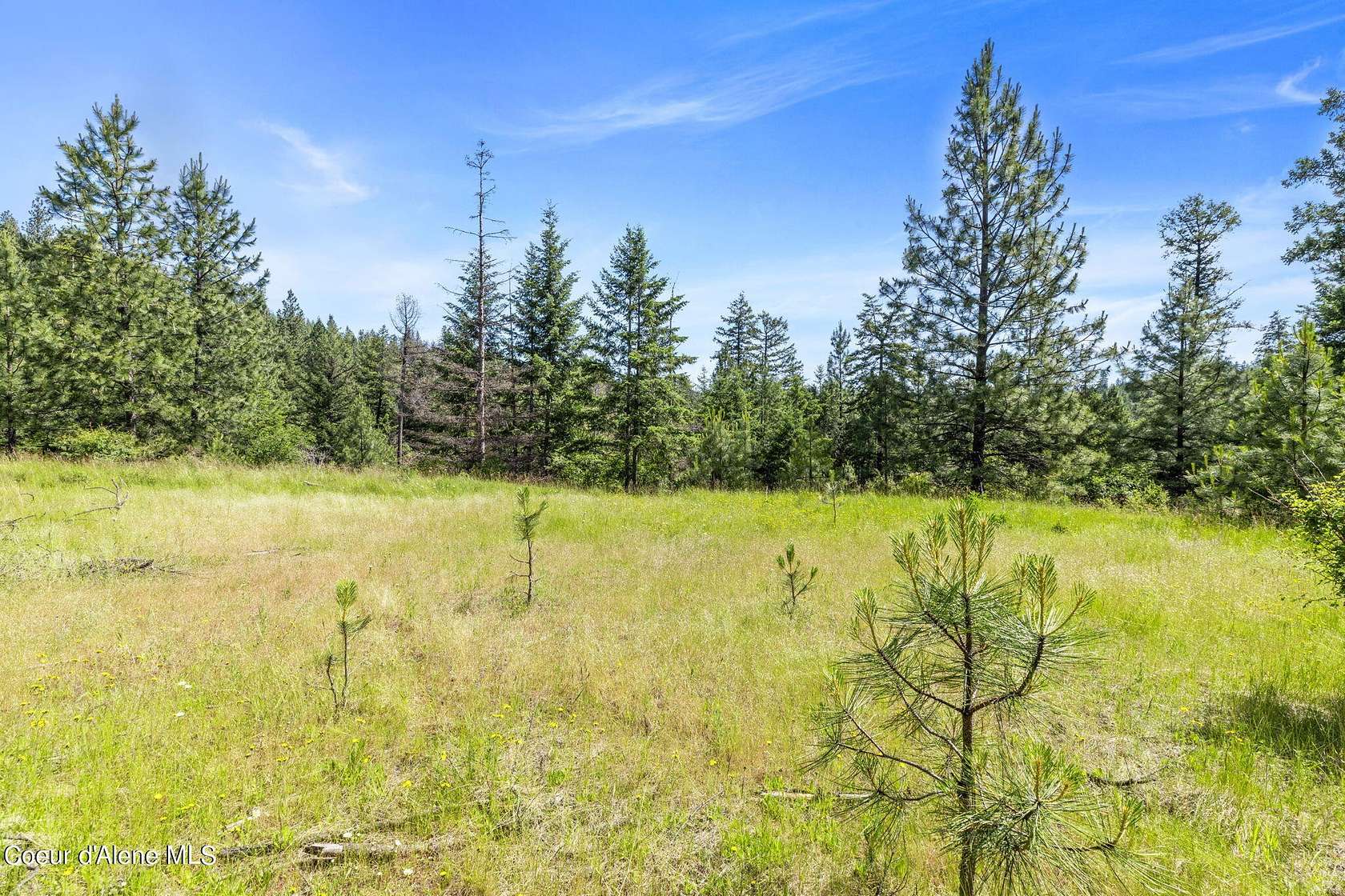 10 Acres of Residential Land for Sale in Coeur d'Alene, Idaho