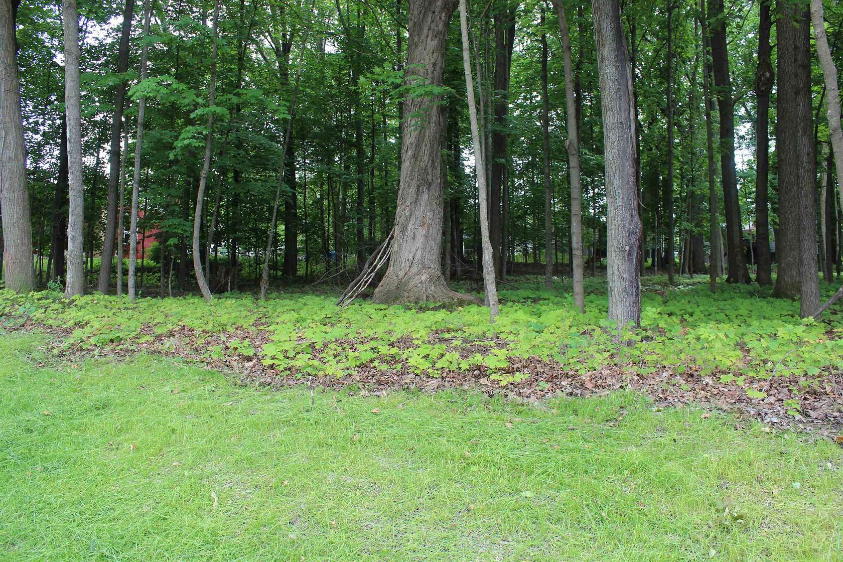 0.44 Acres of Residential Land for Sale in Wausau, Wisconsin