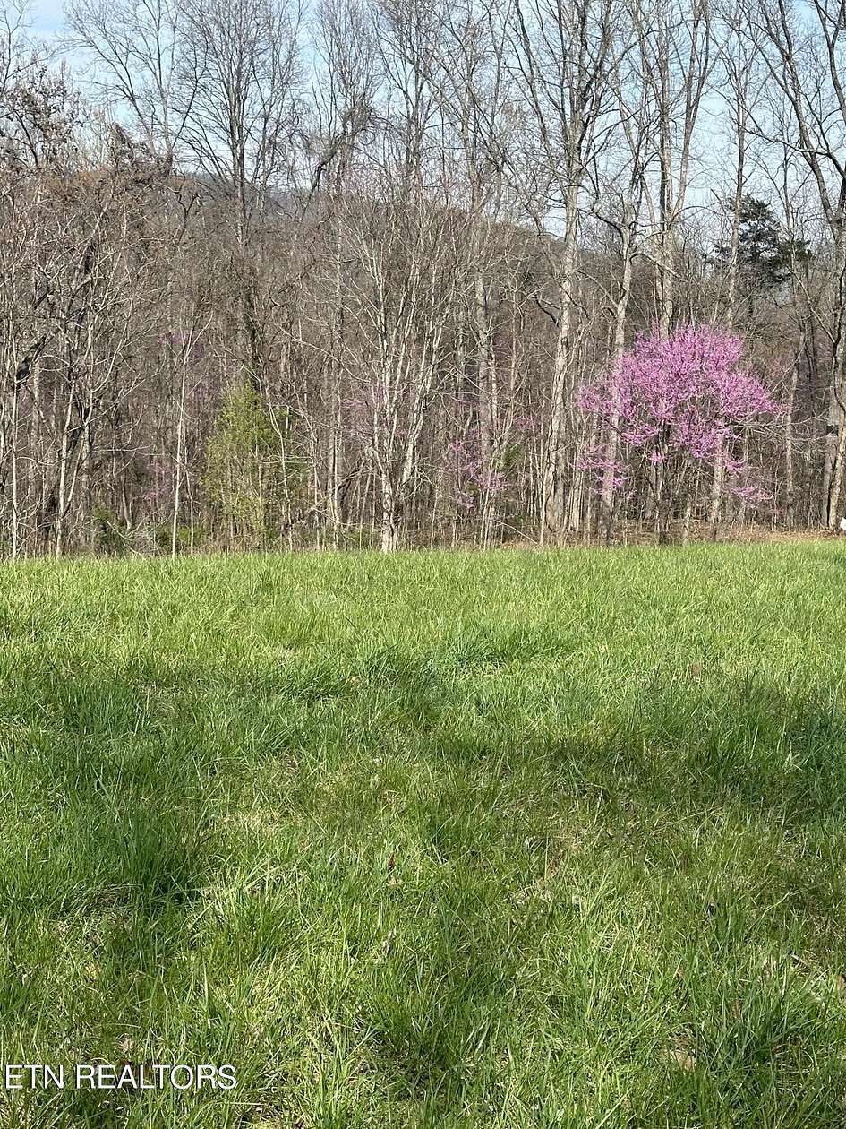 1.59 Acres of Residential Land for Sale in Maynardville, Tennessee