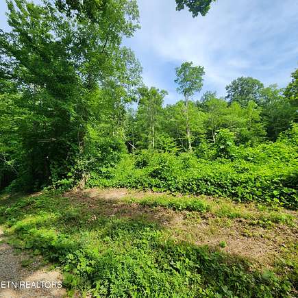 9.7 Acres of Residential Land for Sale in Washburn, Tennessee