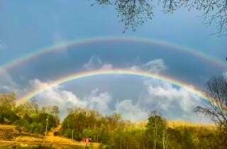 117 Acres of Land for Sale in Livingston, Kentucky