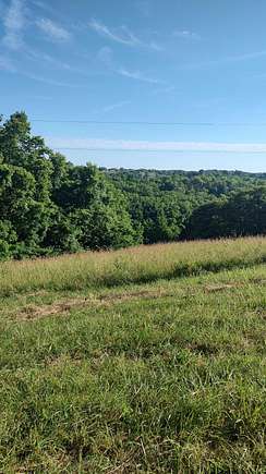 40.957 Acres of Agricultural Land for Sale in Carlisle, Kentucky