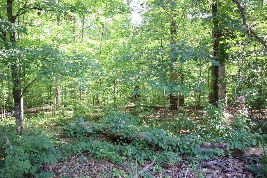 0.61 Acres of Residential Land for Sale in Sparta, Georgia