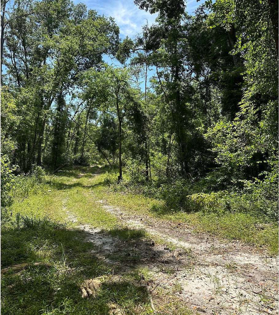 1.18 Acres of Residential Land for Sale in Live Oak, Florida
