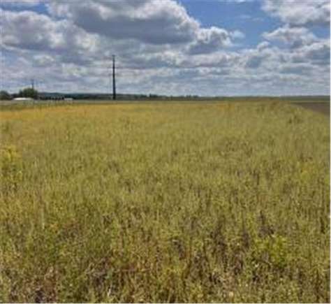 2.5 Acres of Land for Sale in Empire Township, Minnesota