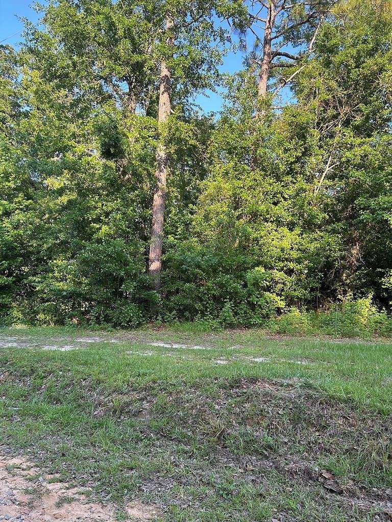 0.31 Acres of Residential Land for Sale in Donalsonville, Georgia