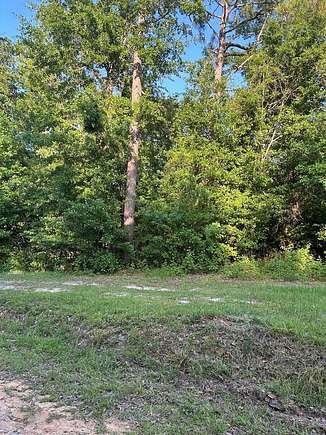 0.31 Acres of Residential Land for Sale in Donalsonville, Georgia