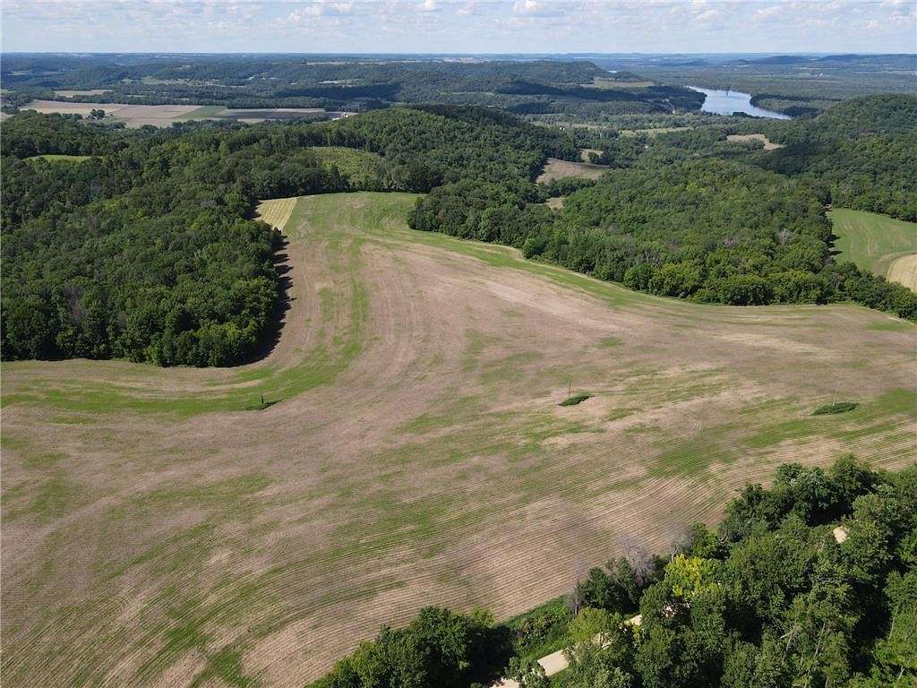 78.48 Acres of Recreational Land & Farm for Sale in Pepin, Wisconsin