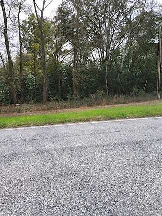 9 Acres of Residential Land for Sale in Colquitt, Georgia