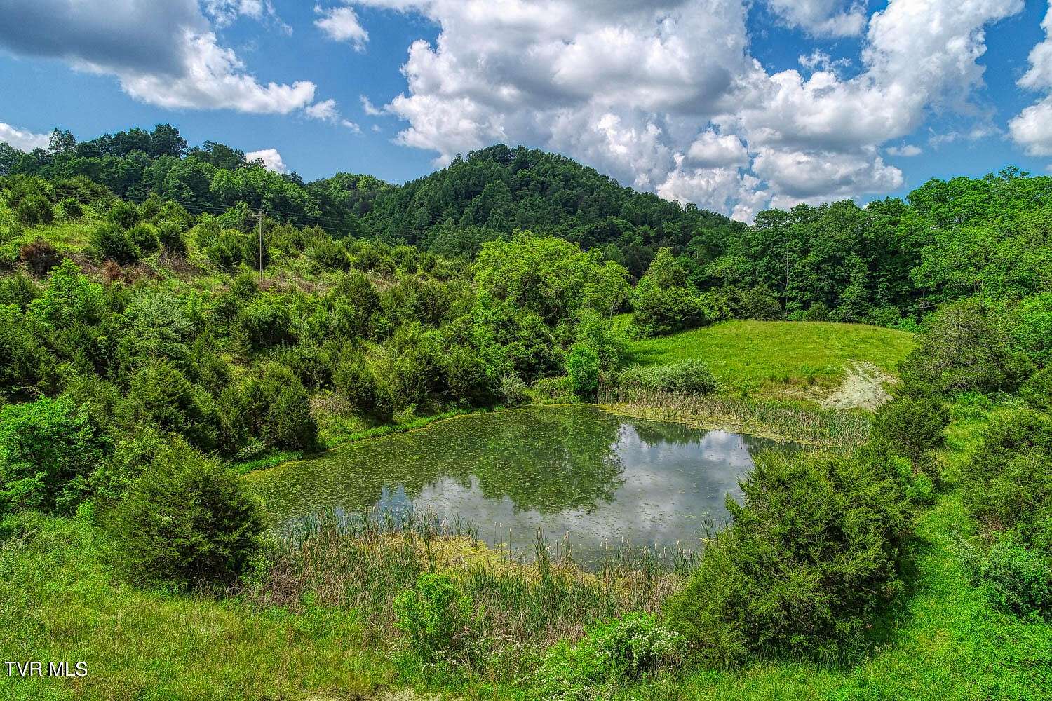 125 Acres of Recreational Land & Farm for Sale in Eidson, Tennessee