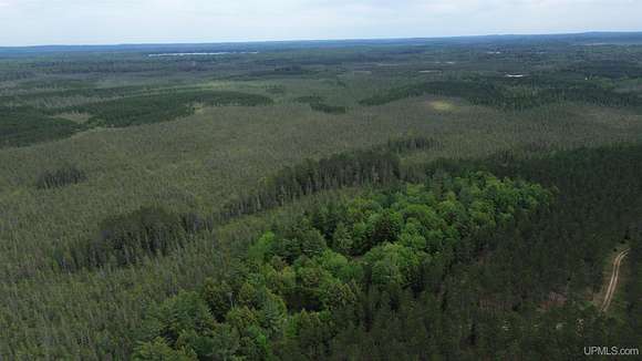 200 Acres of Recreational Land for Sale in Wetmore, Michigan