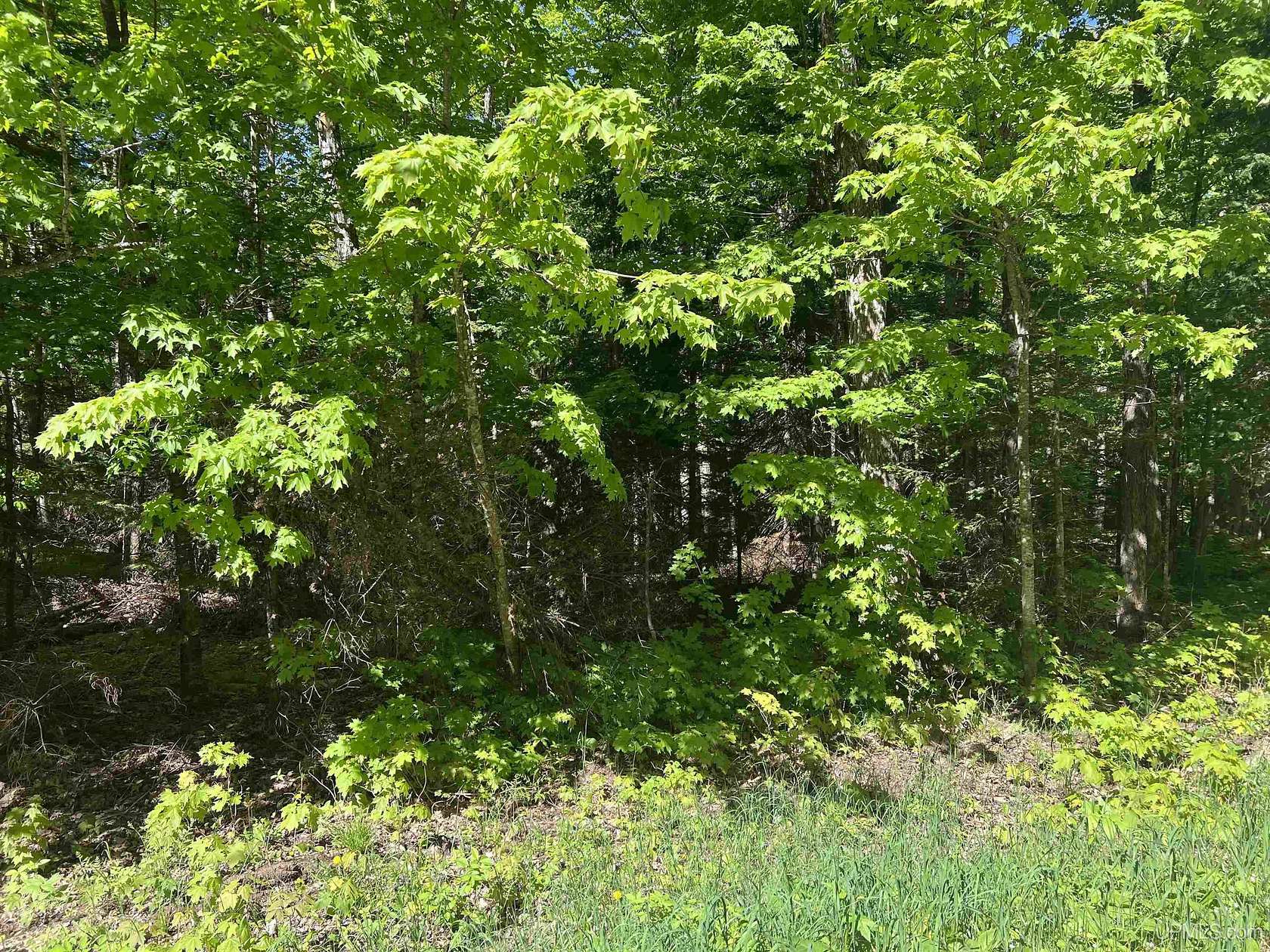 2.6 Acres of Residential Land for Sale in Negaunee, Michigan