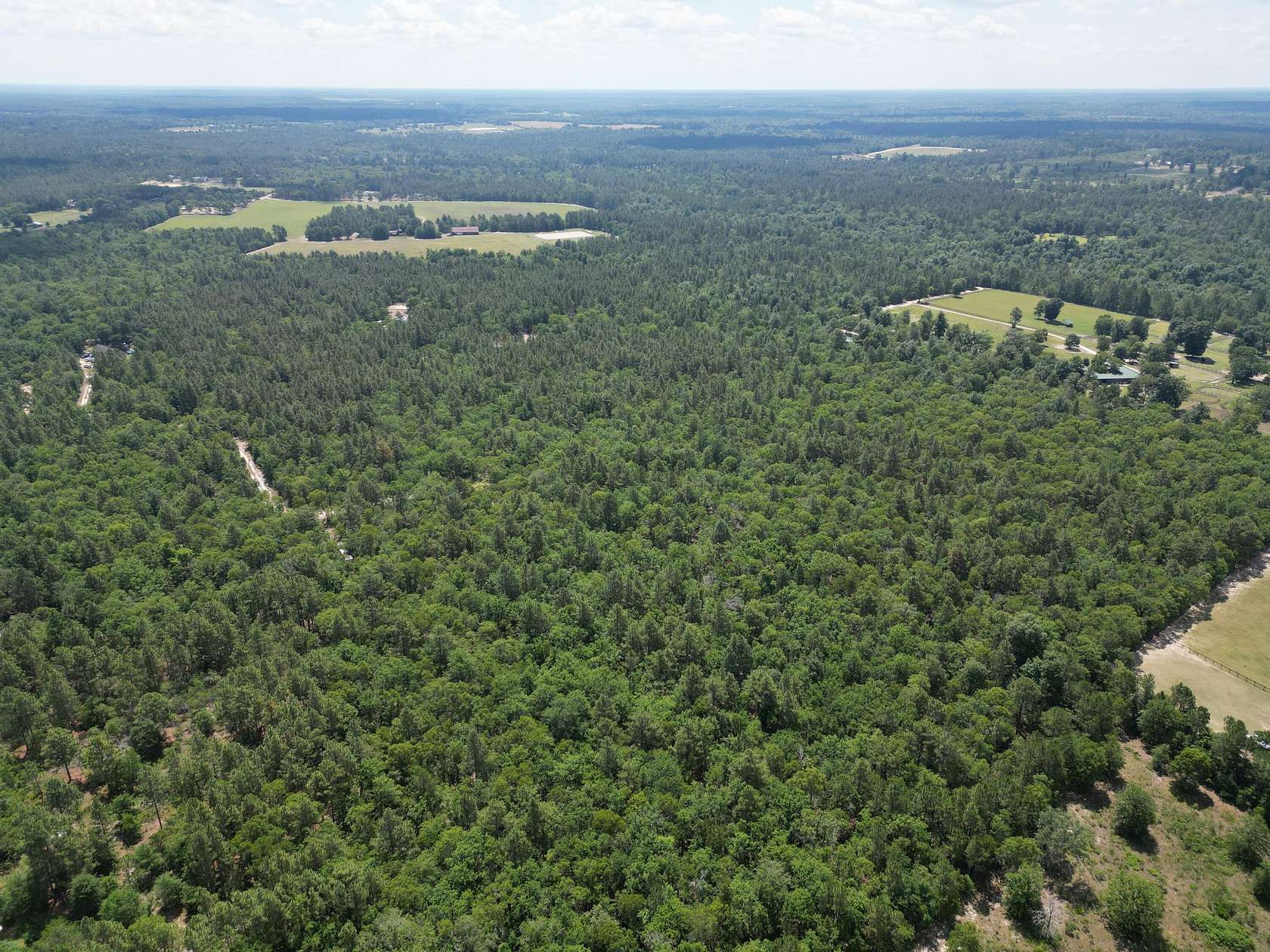 34.33 Acres of Land for Sale in Windsor, South Carolina